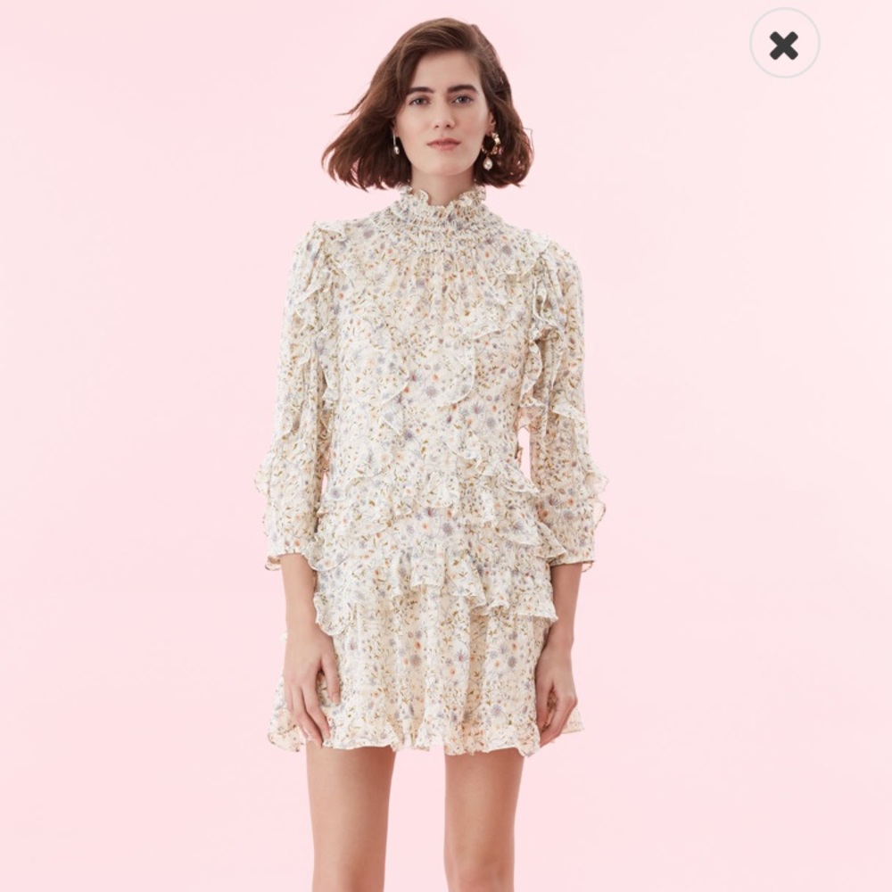 Rebecca Taylor Vivianna Vine Dress sz 10